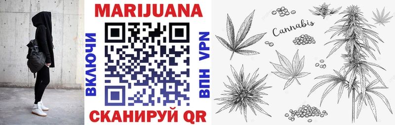 Бошки Шишки семена  OMG как зайти  Котельнич  дарнет шоп 